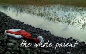 Read more about the article Avoiding Holiday Depression: Notes from a Single Dad