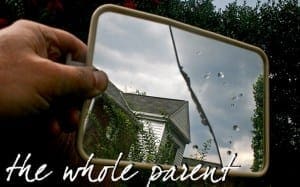 positive divorce - the whole parent