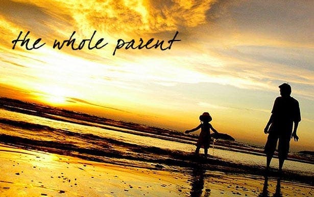 Read more about the article Dads, Fathers, & Men: Single Dads Are Pro Family Too