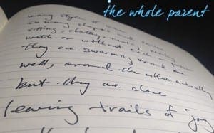 Read more about the article What’s One More Love Poem Worth?