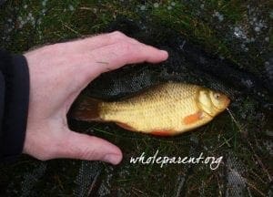 Read more about the article Dating Lessons: Gentle Catch and Release
