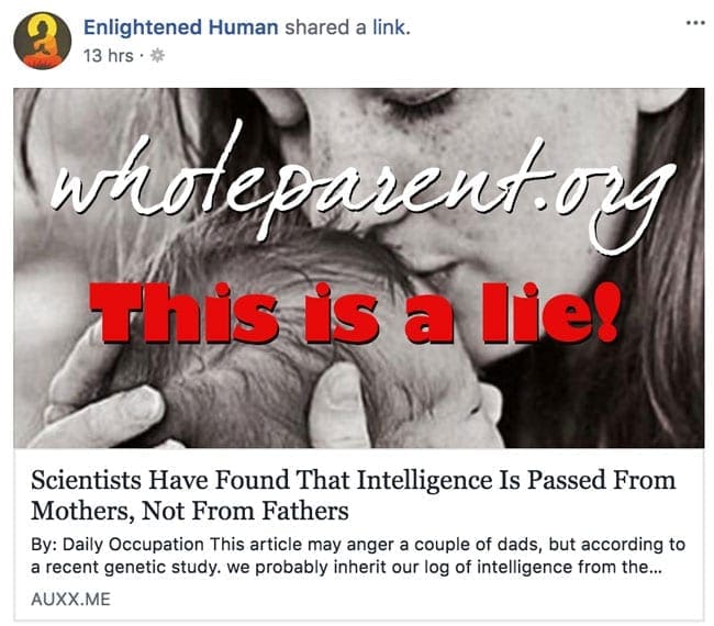 You are currently viewing Correcting the Lie and Non-existent Science Behind: Intelligence Genes Come from Mothers