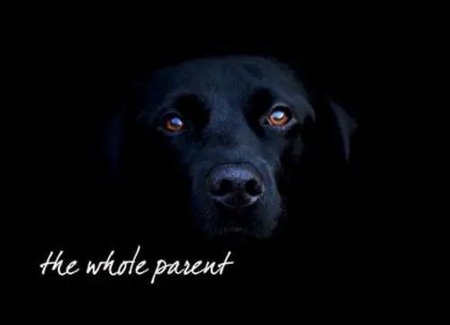 You are currently viewing Followed by the Black Dog (of depression)