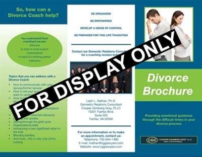 the divorce brochure for dads