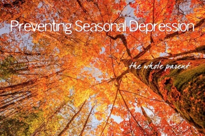 Read more about the article 5 Health Factors to Prevent or Lessen Seasonal Depression: Get Support