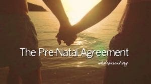pre-natal agreement - john mcelhenney