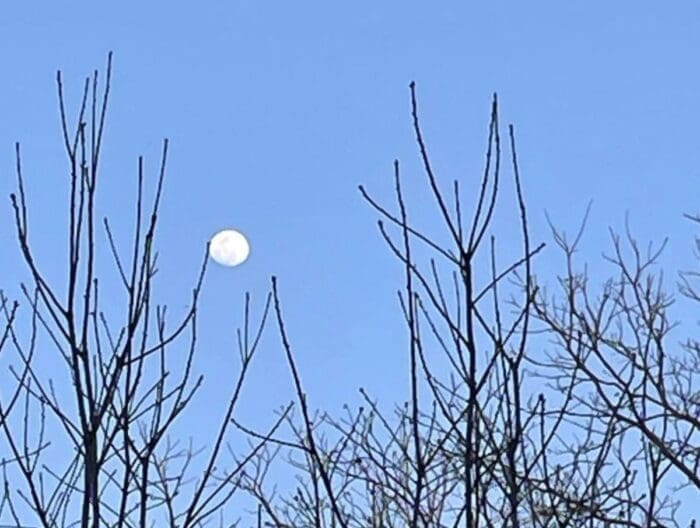 winter moon